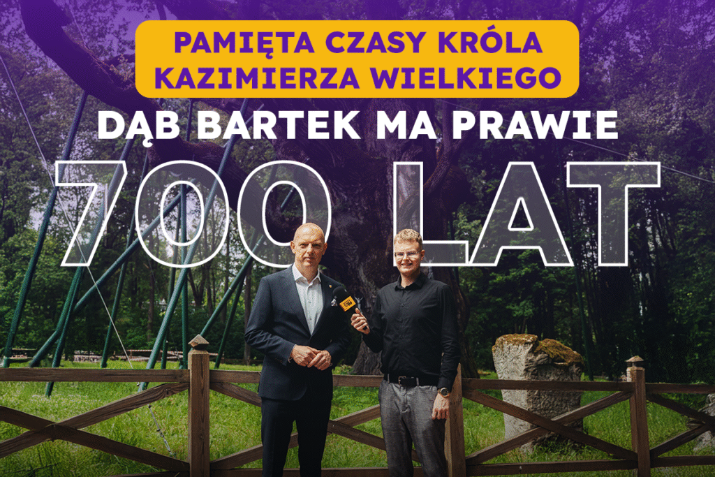Dąb Bartek – świadek naszej historii!
